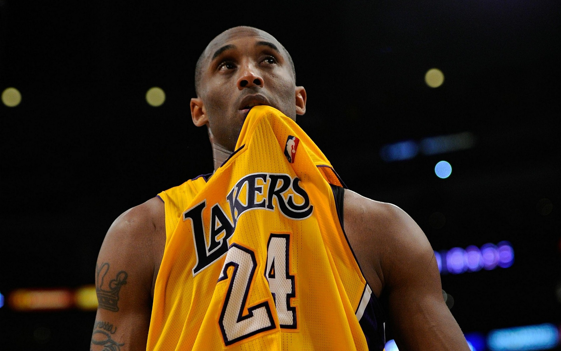 的能力曲线 的能力曲线