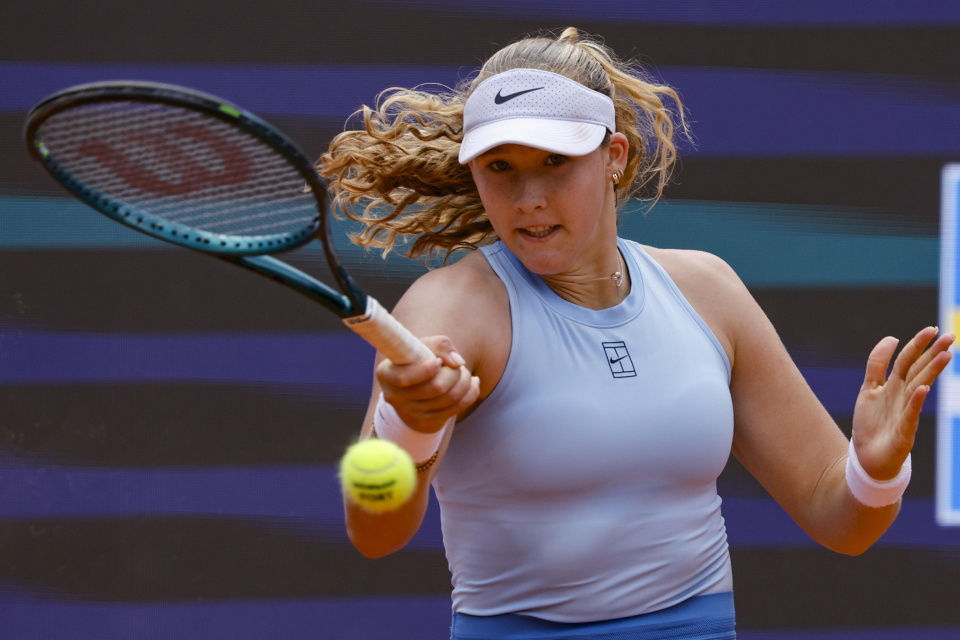 的可迁移 的可迁移